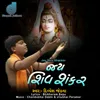 About Jay Shiv Shankar Song